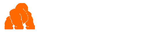 Ujuzi Tour & Travel